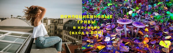 мяу мяу кристалл Горно-Алтайск